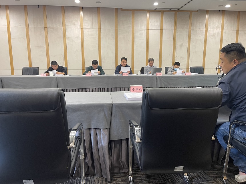 驗(yàn)收會(huì)專家組.jpg